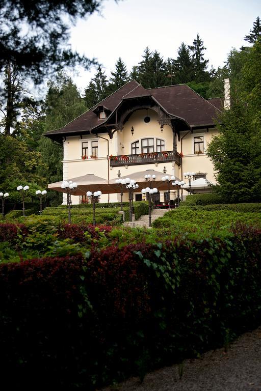 Vila Herberstein Velenje Dış mekan fotoğraf